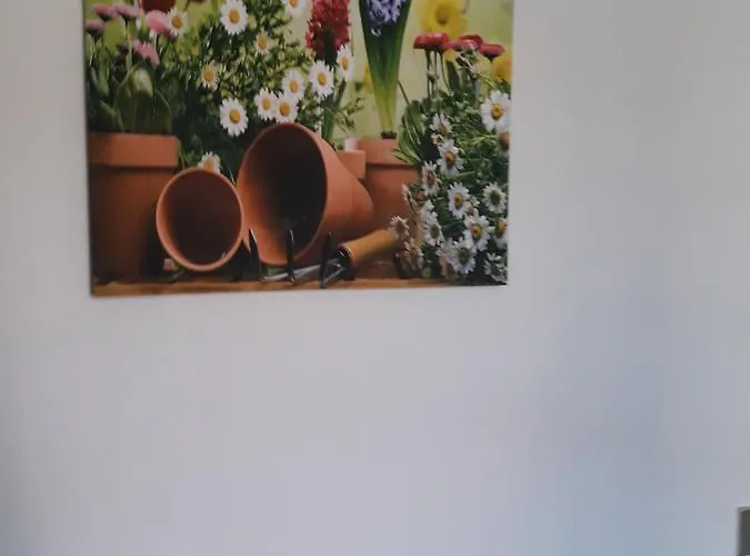 La Casa Nel 2 Gasthuis